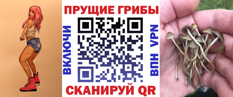Псилоцибиновые грибы Cubensis  наркота  Лесозаводск 